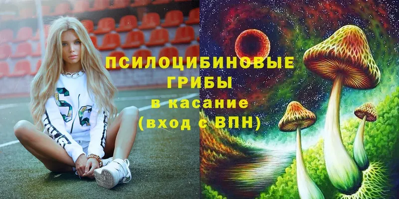 как найти закладки  OMG зеркало  Галлюциногенные грибы Cubensis  Камень-на-Оби 