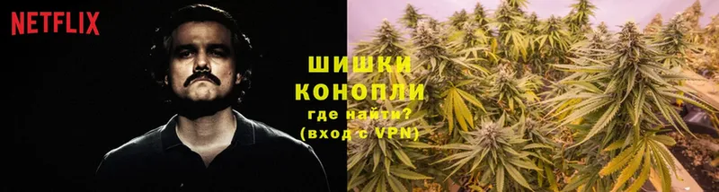 закладка  Камень-на-Оби  Марихуана Ganja 